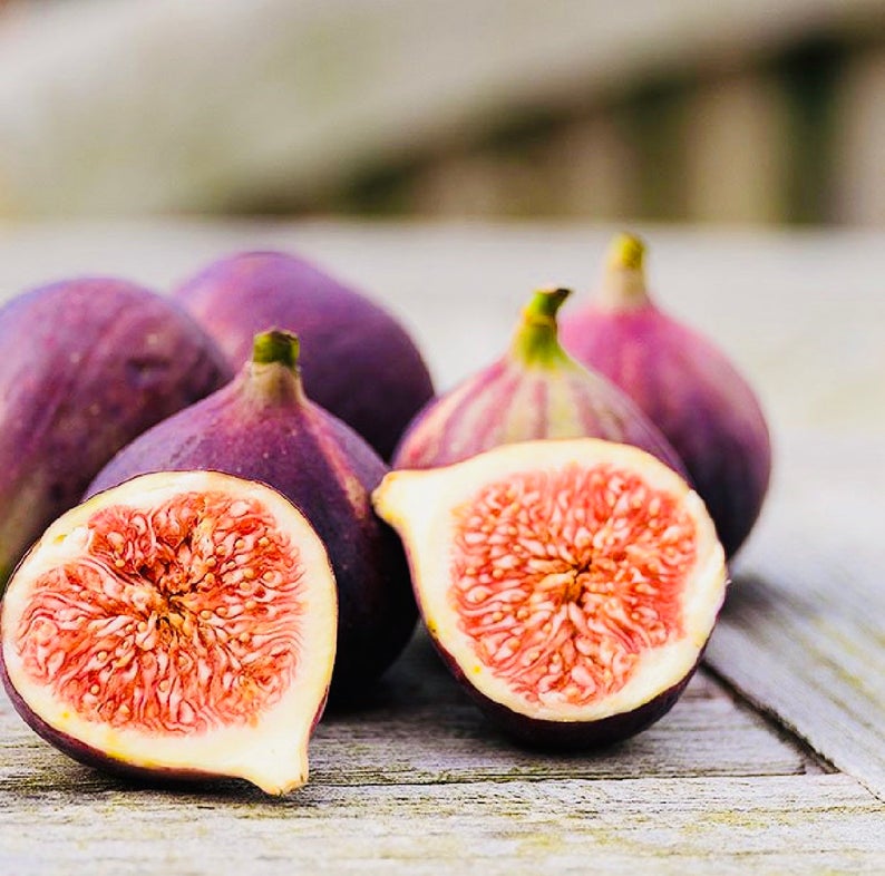 Fig Oil